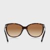 Gafas de sol Ralph Lauren 0RA5160 Butterfly para mujer, color marrón Gafas de sol Ralph Lauren 0RA5160 Butterfly para mujer, color marrón