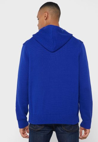 Sudadera con capucha gráfica Ralph Lauren azul para hombre